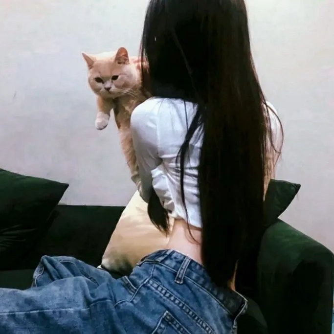 后宫之乌